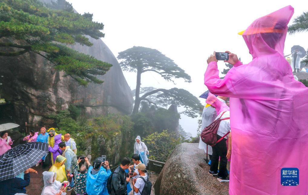 打鱼机能看出真假鱼吗